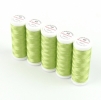 Ackermann Embroidery Stickgarn St�rke 40 - 5x 260 m, Farbe 3551 gr�n